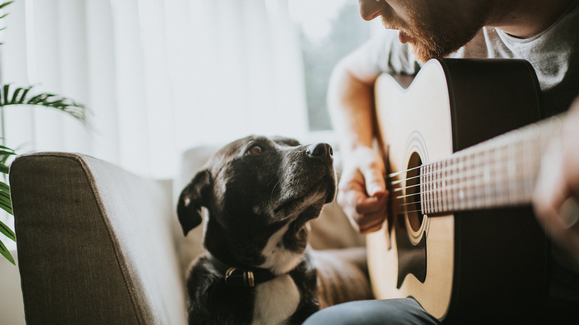 Escuchar musica