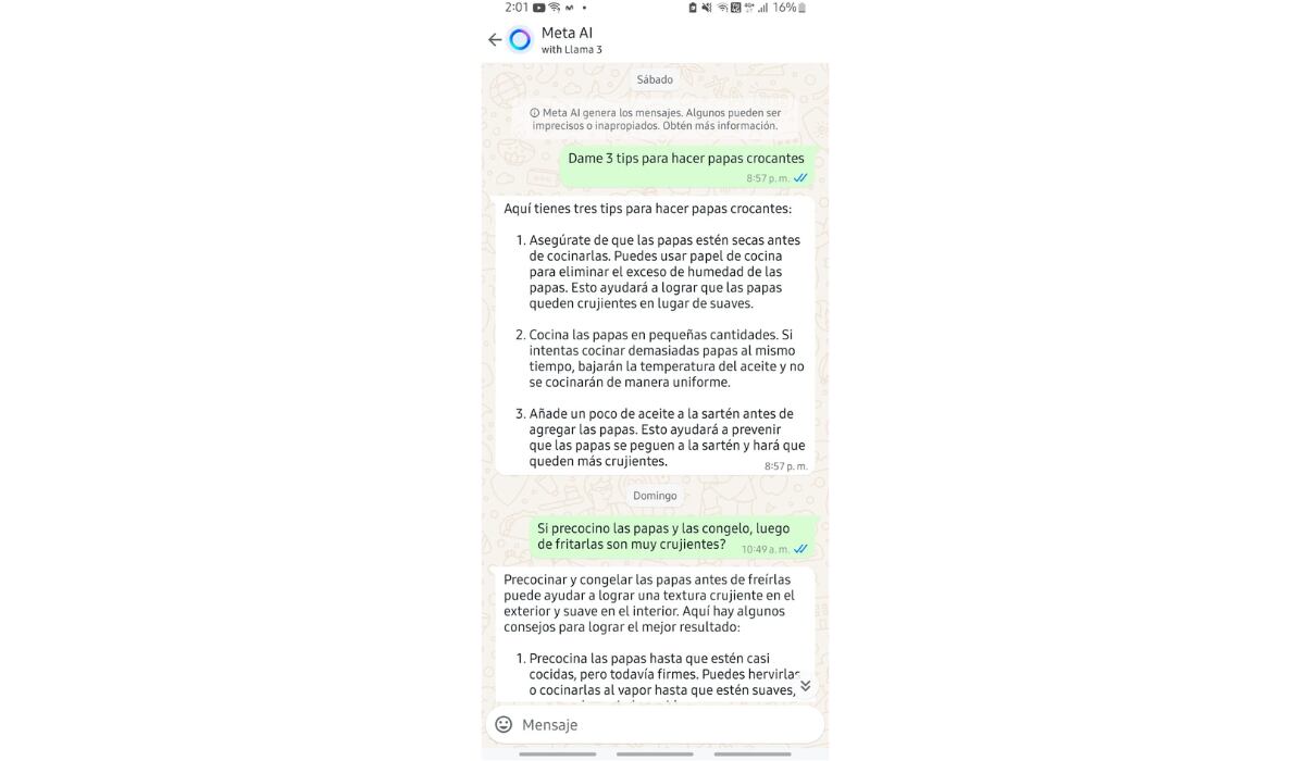 Los usuarios pueden preguntarle sobre cualquier tema a la inteligencia artificial de Meta. (WhatsApp)