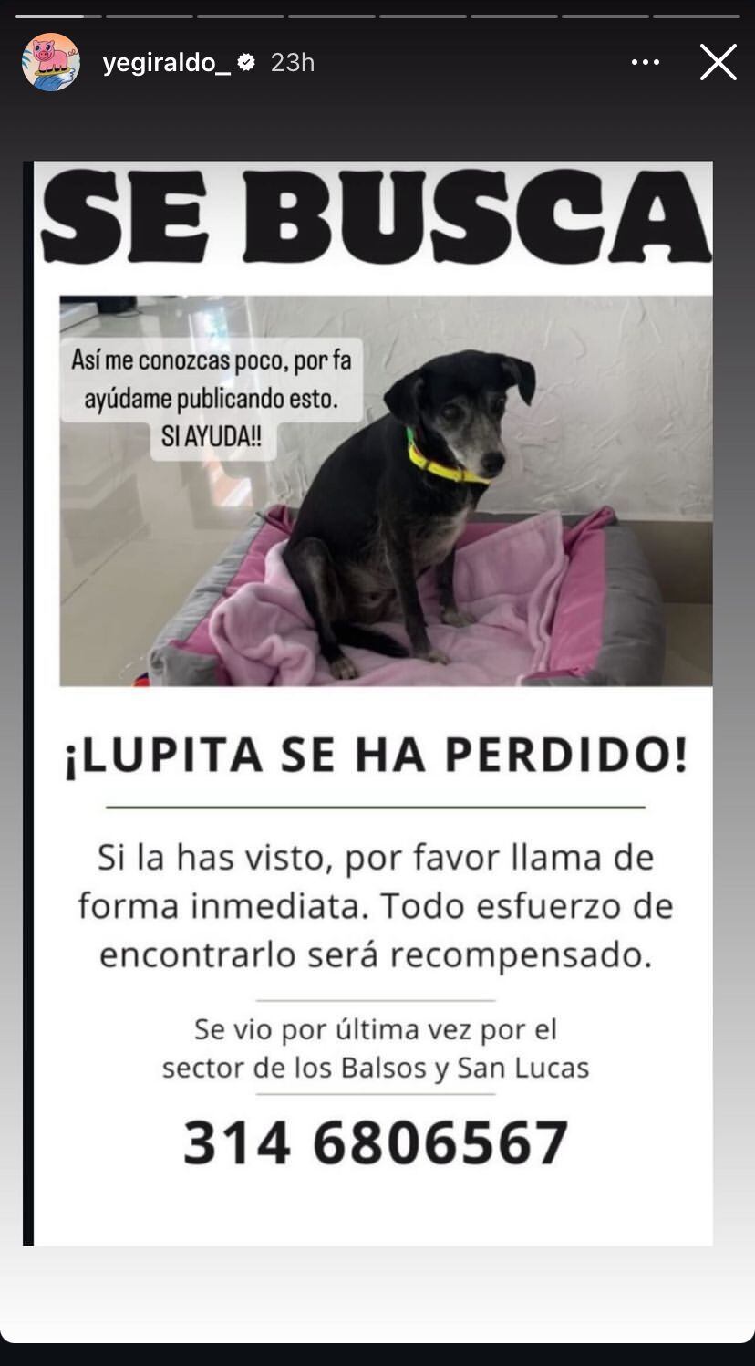 Jessica Giraldo alertó a su millón de seguidores sobre la perdida de Lupita en Medellín, una perrita criolla