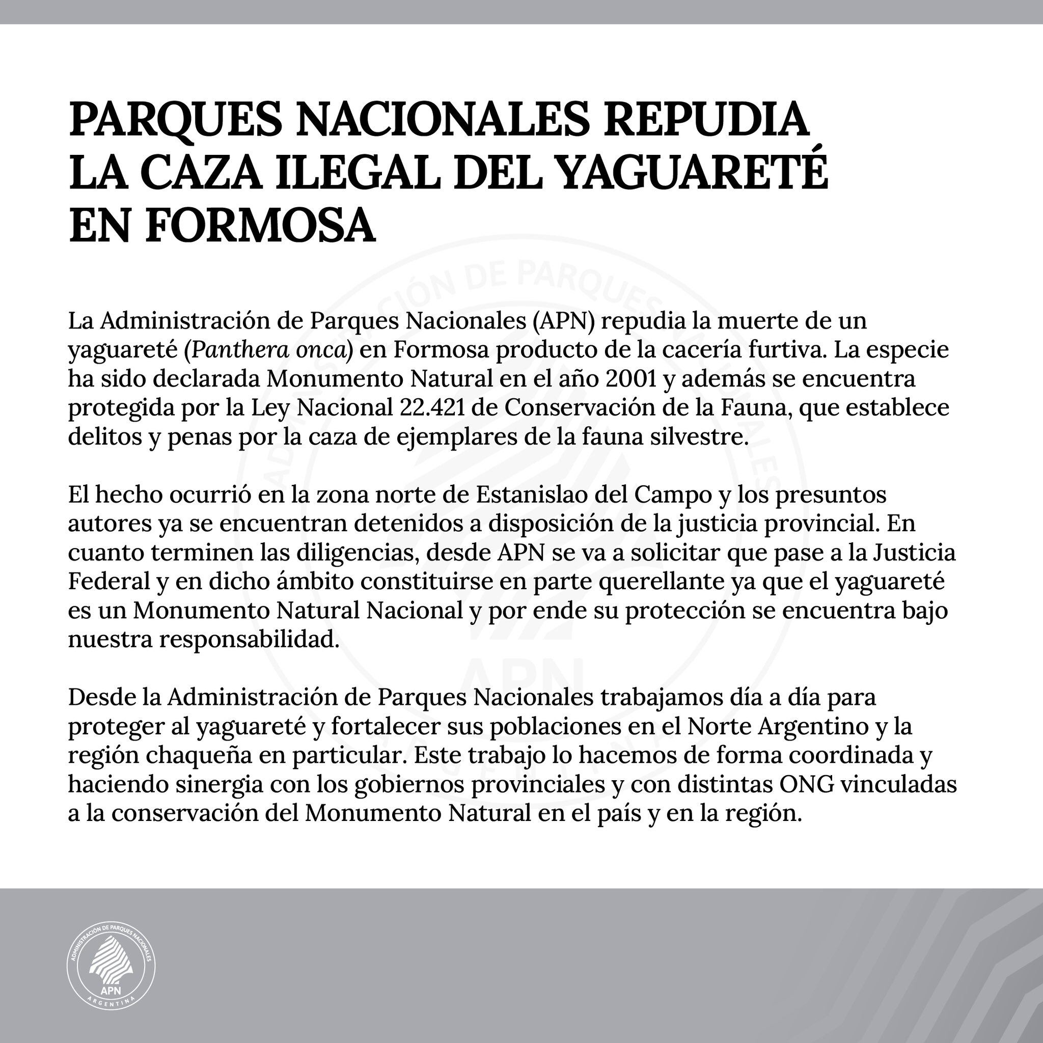 caza ilegal de yaguareté en Formosa comunicado de Parques Nacionales