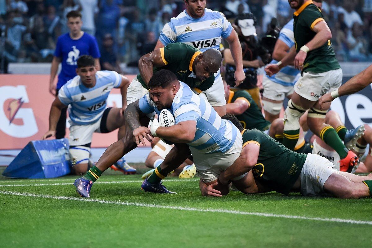 Los Pumas vs Sudáfrica