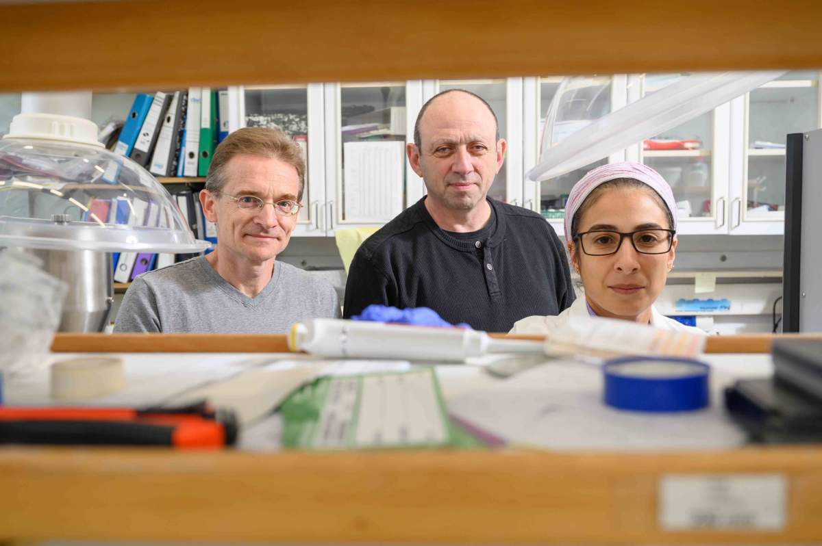 (de izq. a der.) Prof. Boris Rybtchinski, Dr. Haim Weissman y Dra. Angelica Niazov-Elkan (Instituto Weizmann de Ciencias)