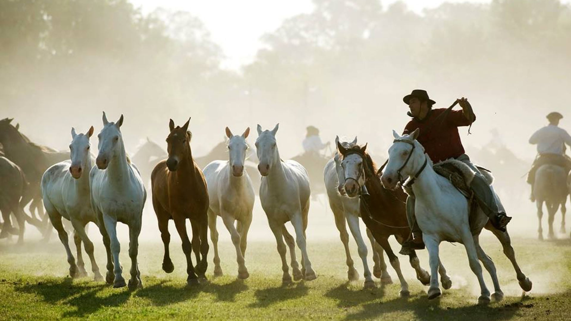 San Antonio de Areco actividades