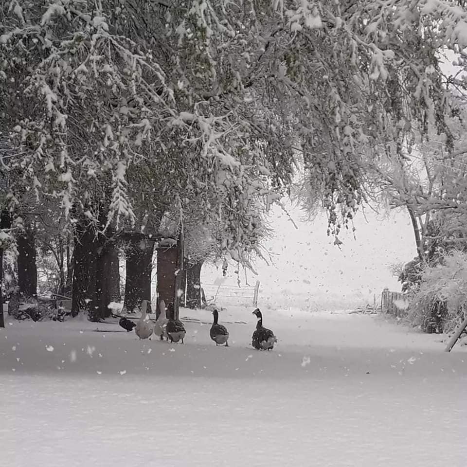 nevadas en Córdoba y San Luis