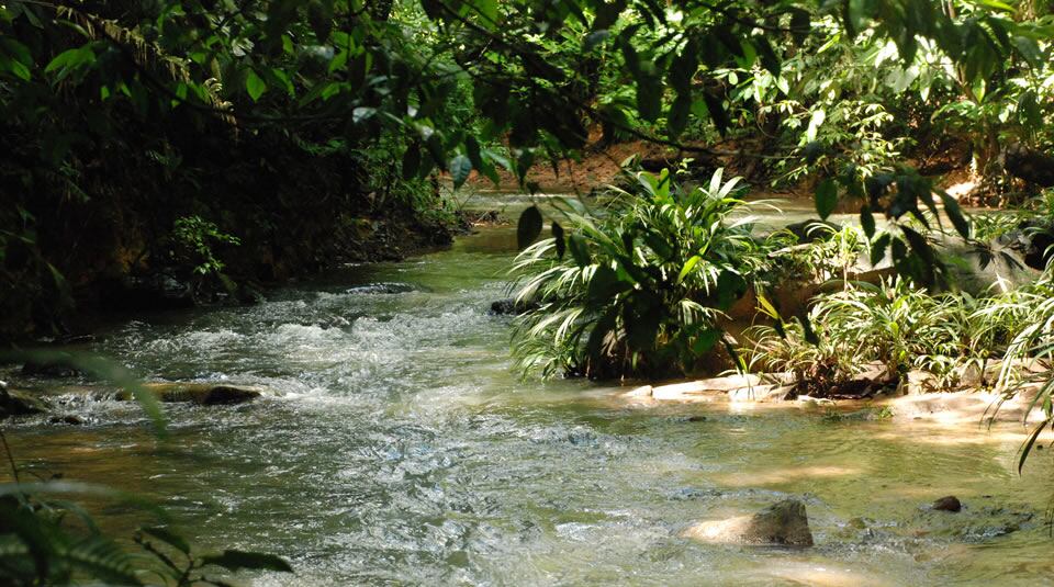 Parque Nacional Natural Paramillo