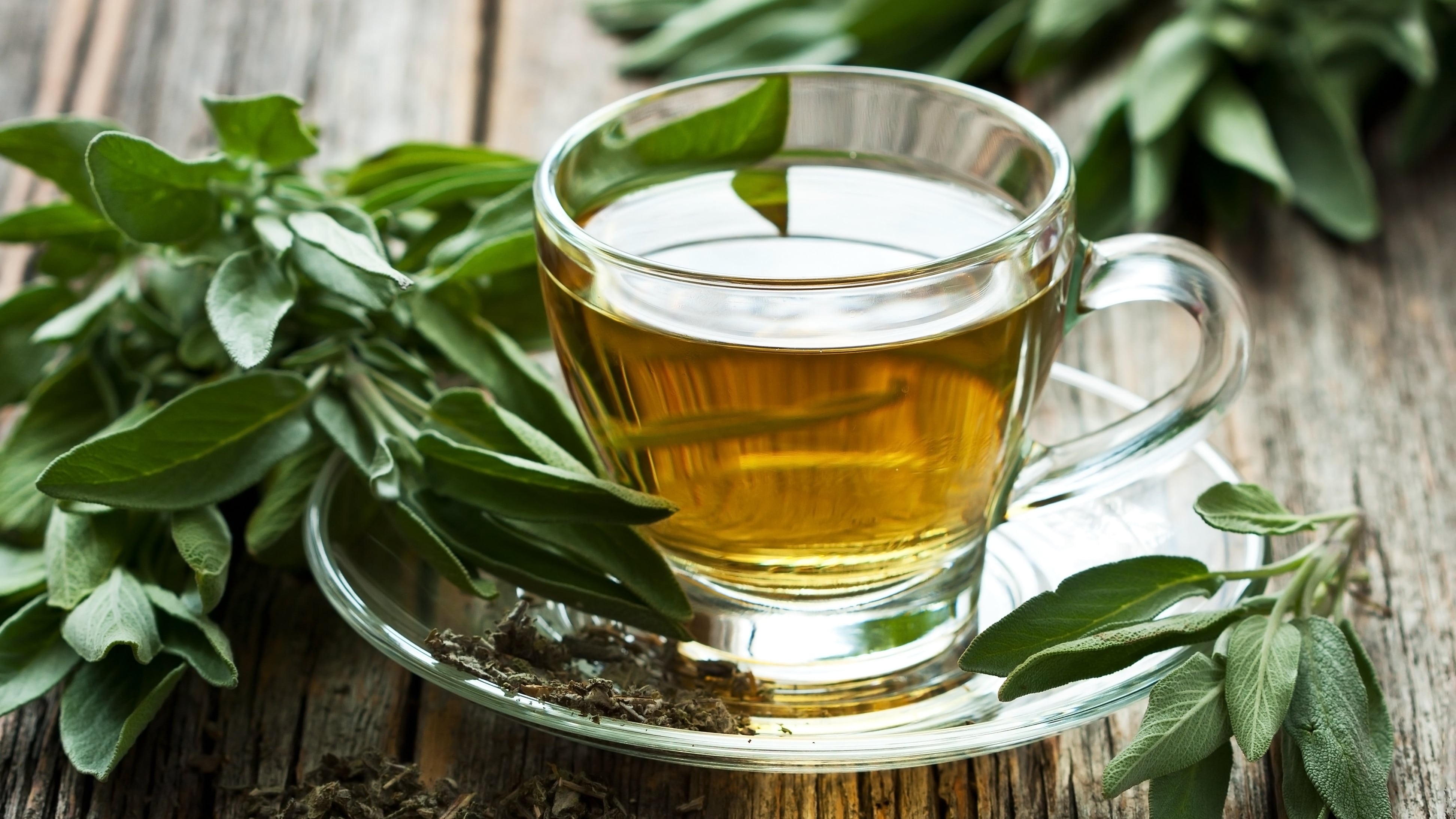 Infusión de salvia (Shutterstock)