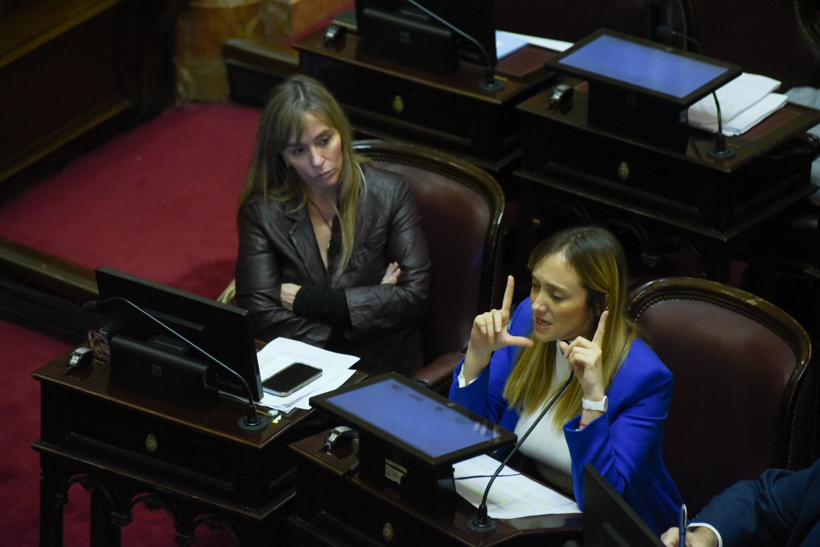 Debate Ley Bases en el Senado - 12.06.2024