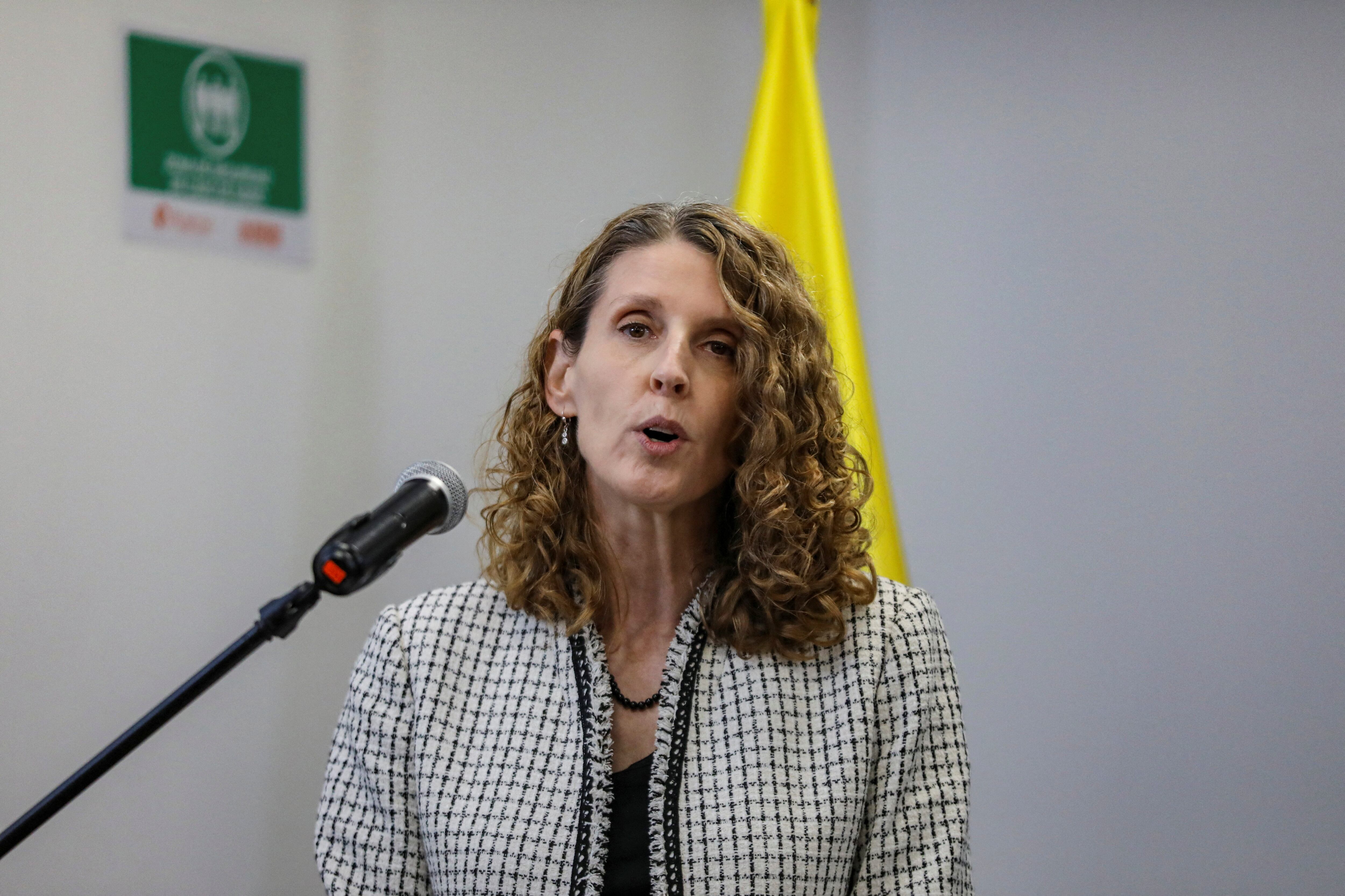 Candice Welsch, la representante regional de UNODC para la Región Andina y el Cono Sur (REUTERS/Luisa Gonzalez)