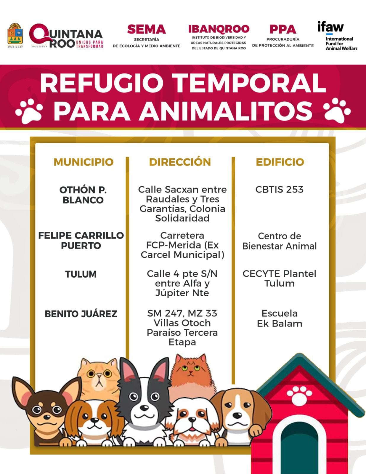 Dirección de los cuatro refugios temporales para mascotas en Quintana Roo ante la llegada del huracán Beryl.