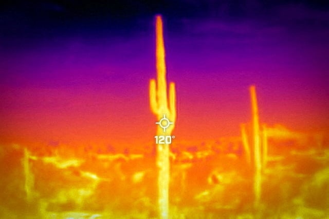 EEUU vivió uno de los veranos más cálidos de su historia: cinco estados rompieron récord de temperaturas