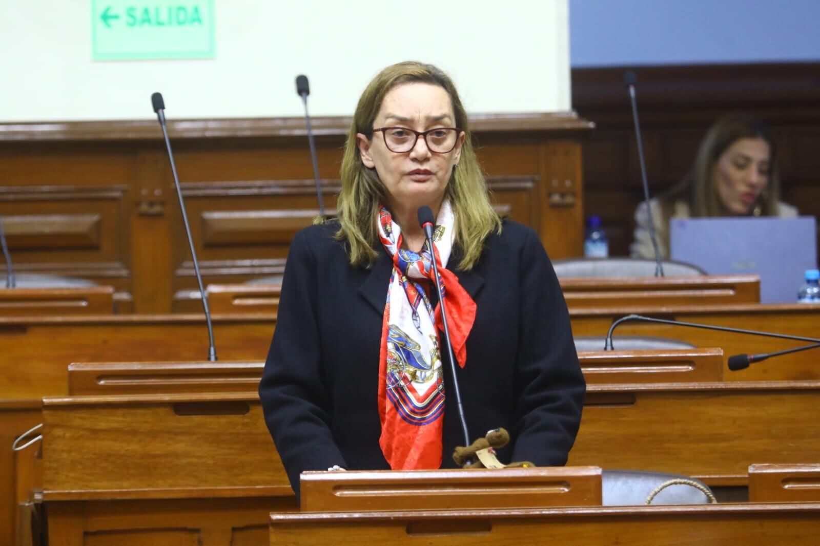 Nelcy Heidinger Ballesteros (APP), presidenta de la Comisión de Salud y Población