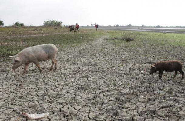 El fenómeno de El Niño es una de las agravantes en la crisis de seguridad alimentaria que se registra en algunas zonas del país - crédito Colprensa/El Universal