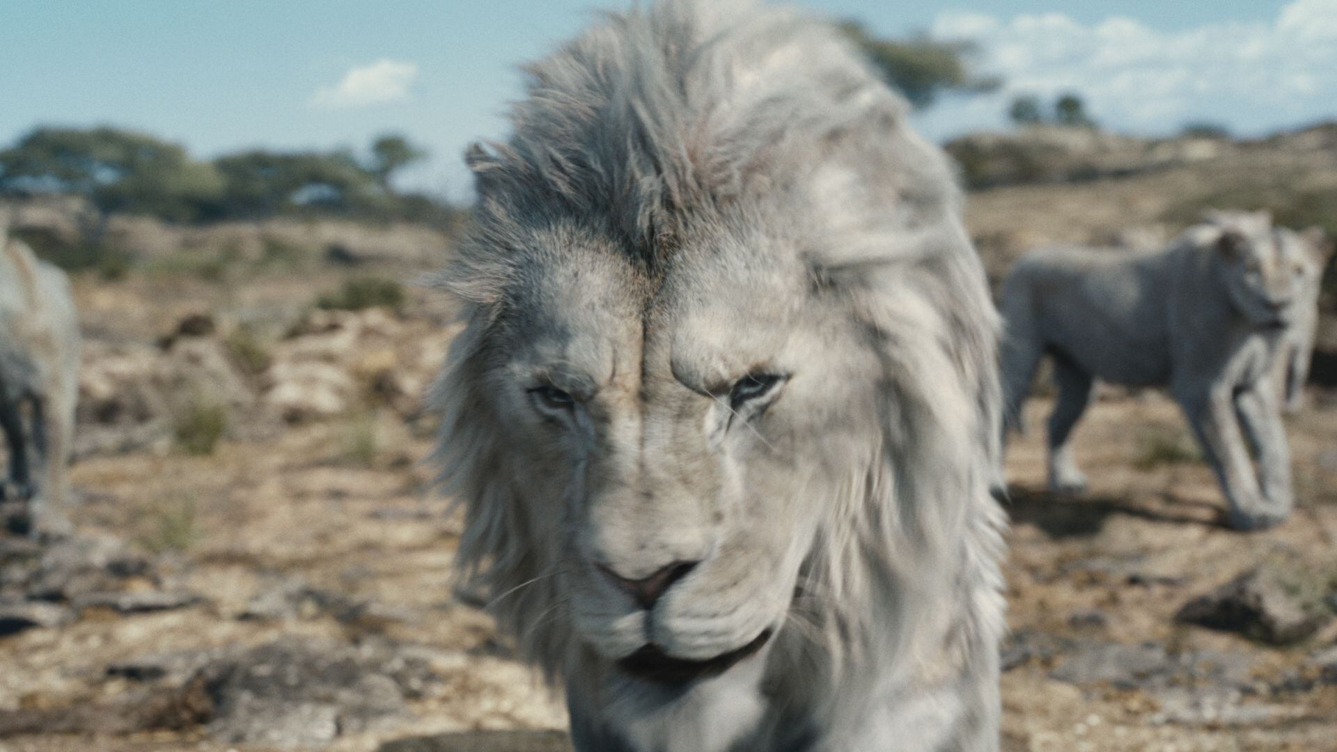 Mufasa: El Rey León