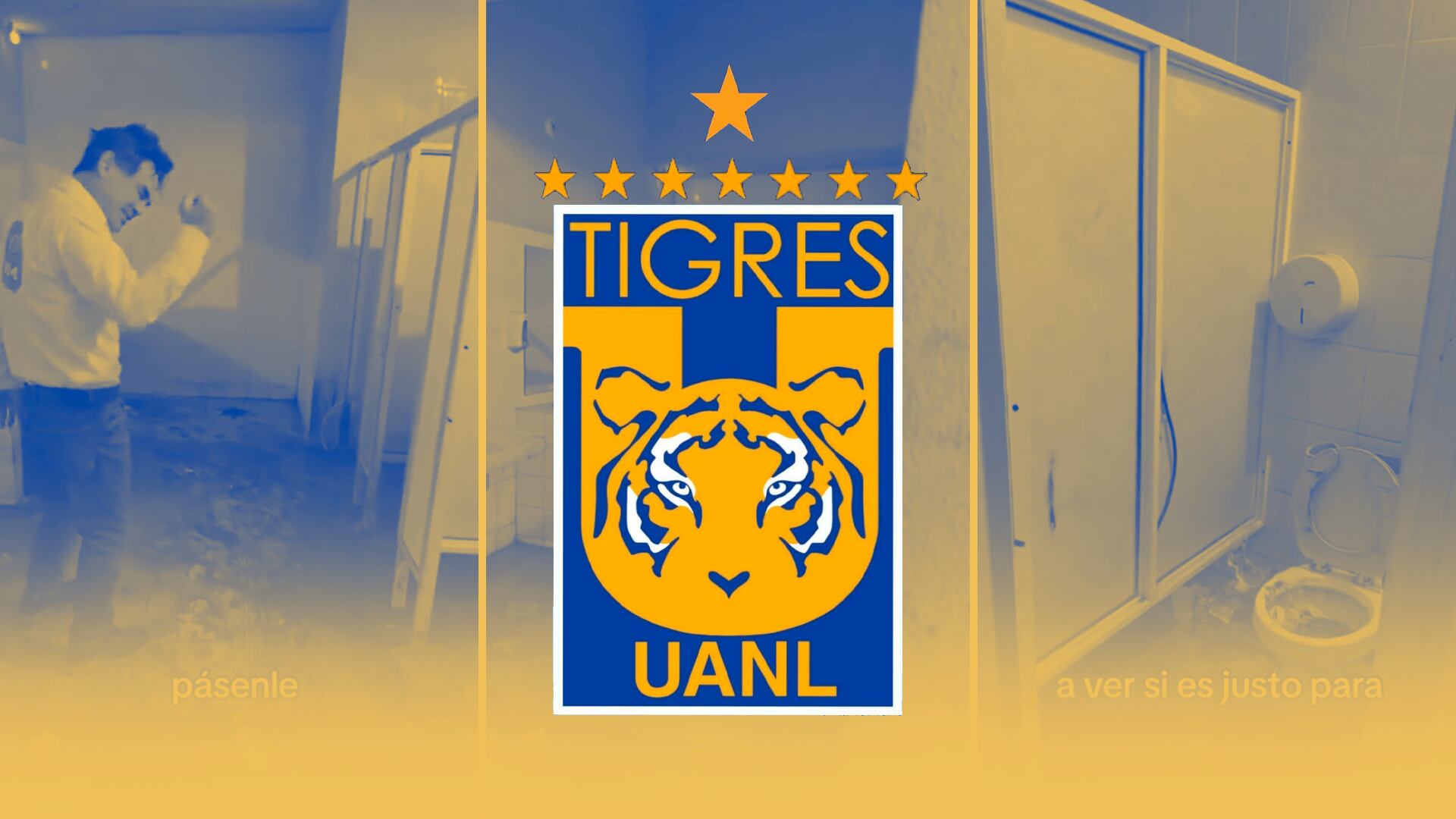 Tigres