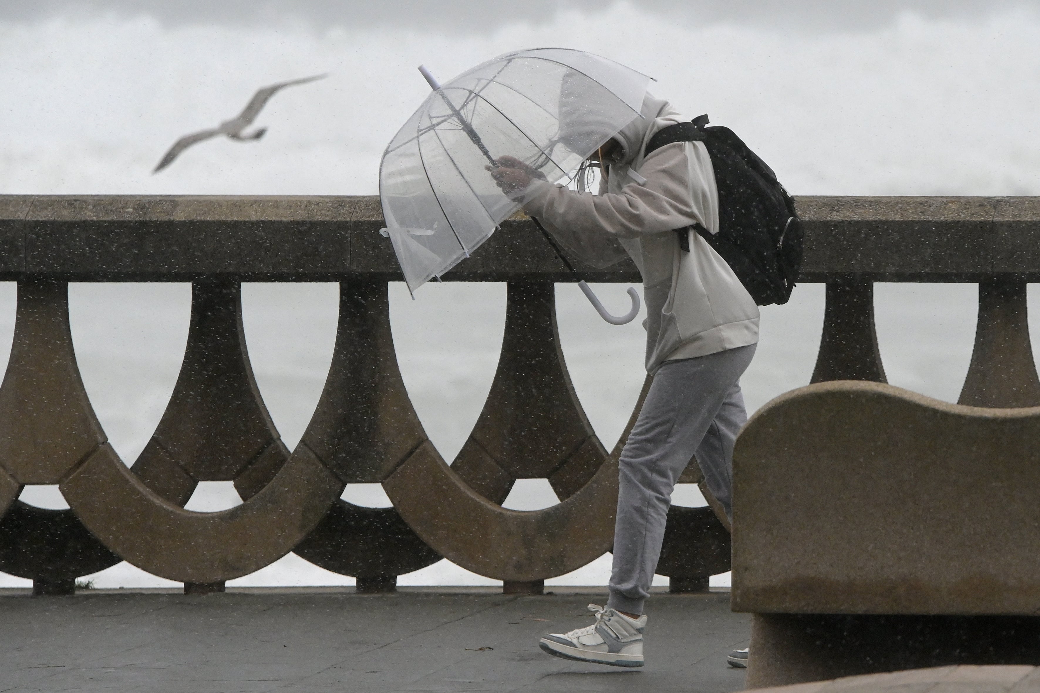 Una persona se protege de la lluvia y el viento con un paraguas en A Coruña. (M. Dylan / Europa Press)