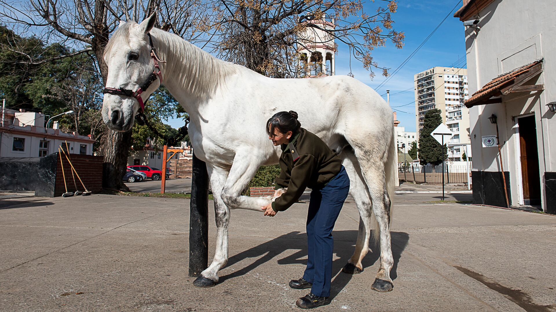 Entrevista de Hugo Martin a María Lorena Arozarena - Granadera Veterinaria