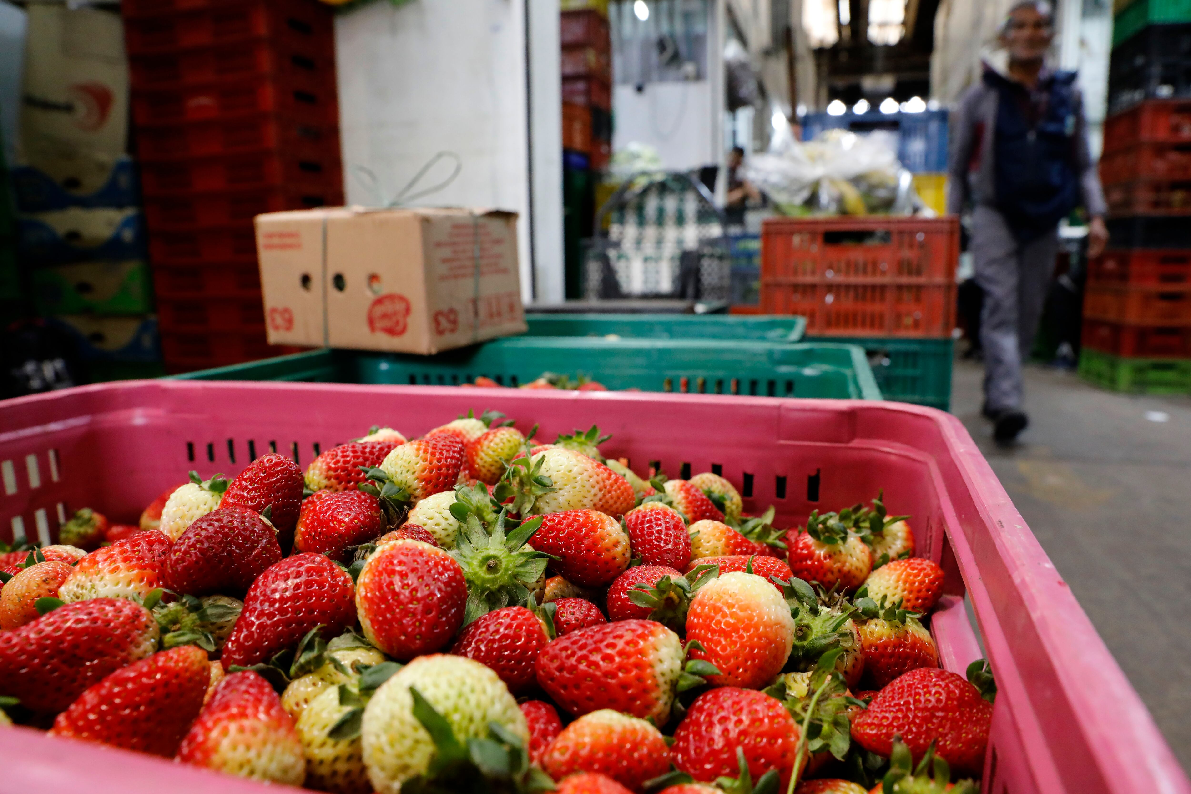 Las frutas frescas están entre los alimentos que más están bajando de precio en Colombia - crédito Carlos Ortega/EFE 