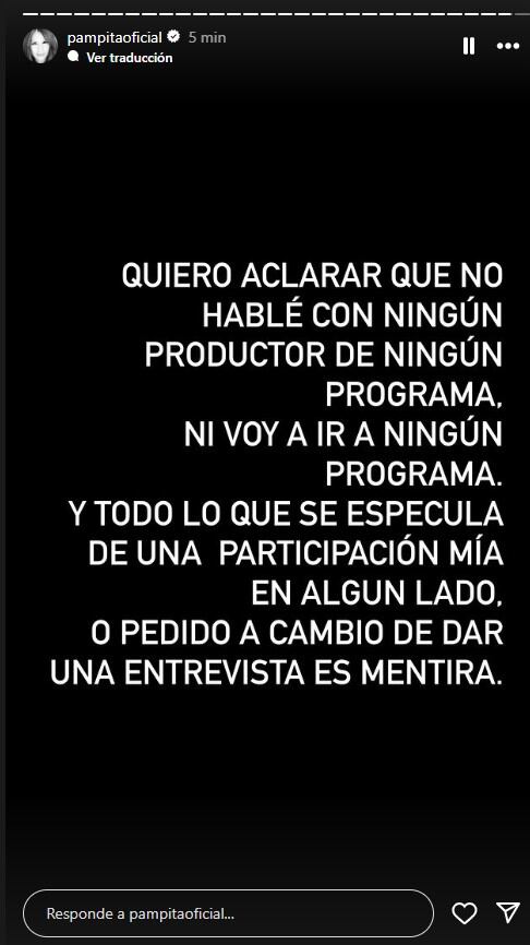 El tajante comunicado de Pampita sobre su participación en algún programa para hablar de su separación (Instagram)