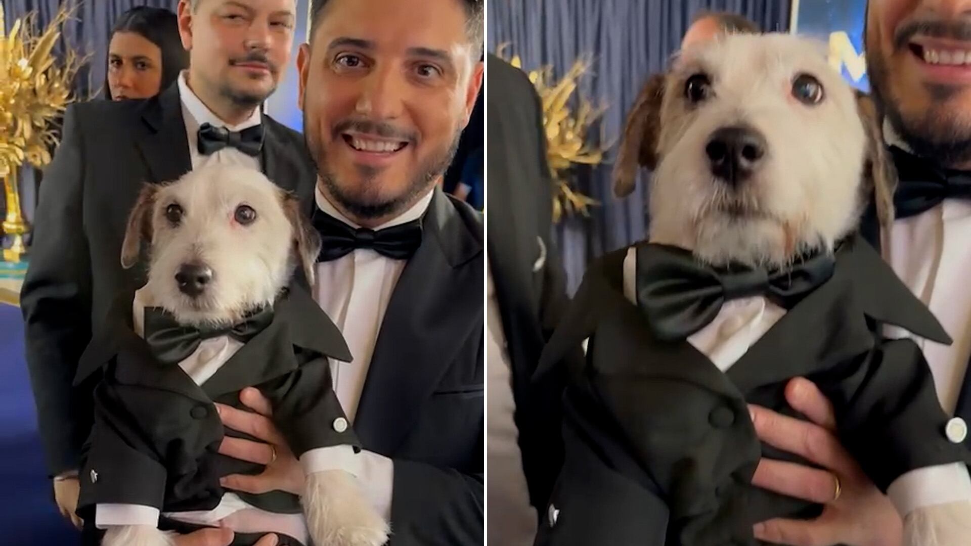 Entrega de premios Martín Fierro 2024 - Hernán Lirio vivió la alfombra azul de los Martín Fierro junto a su perro