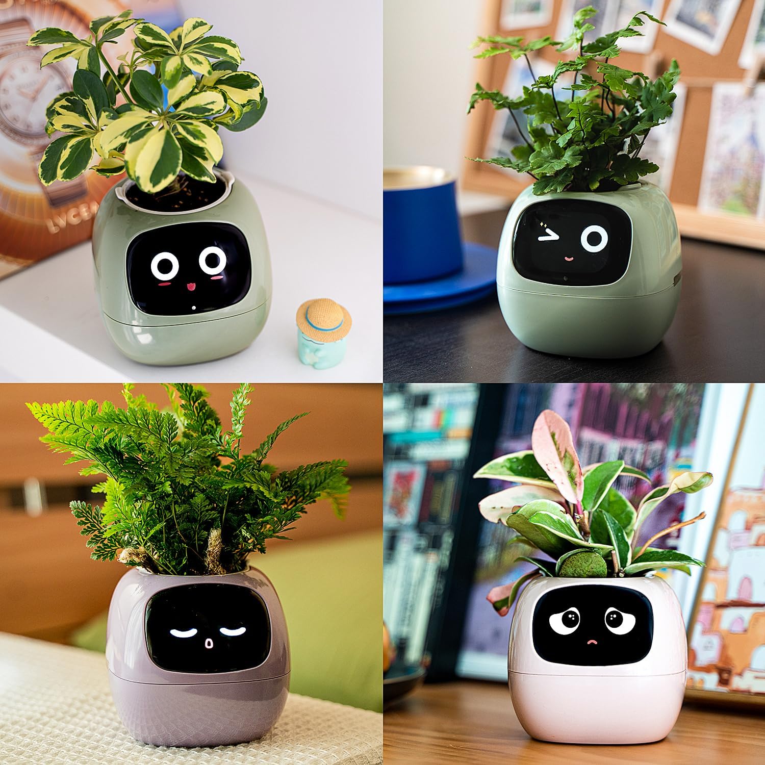 Ivy muestra gestos en una pantalla para evidenciar el estado de la planta. (mypetplanter)