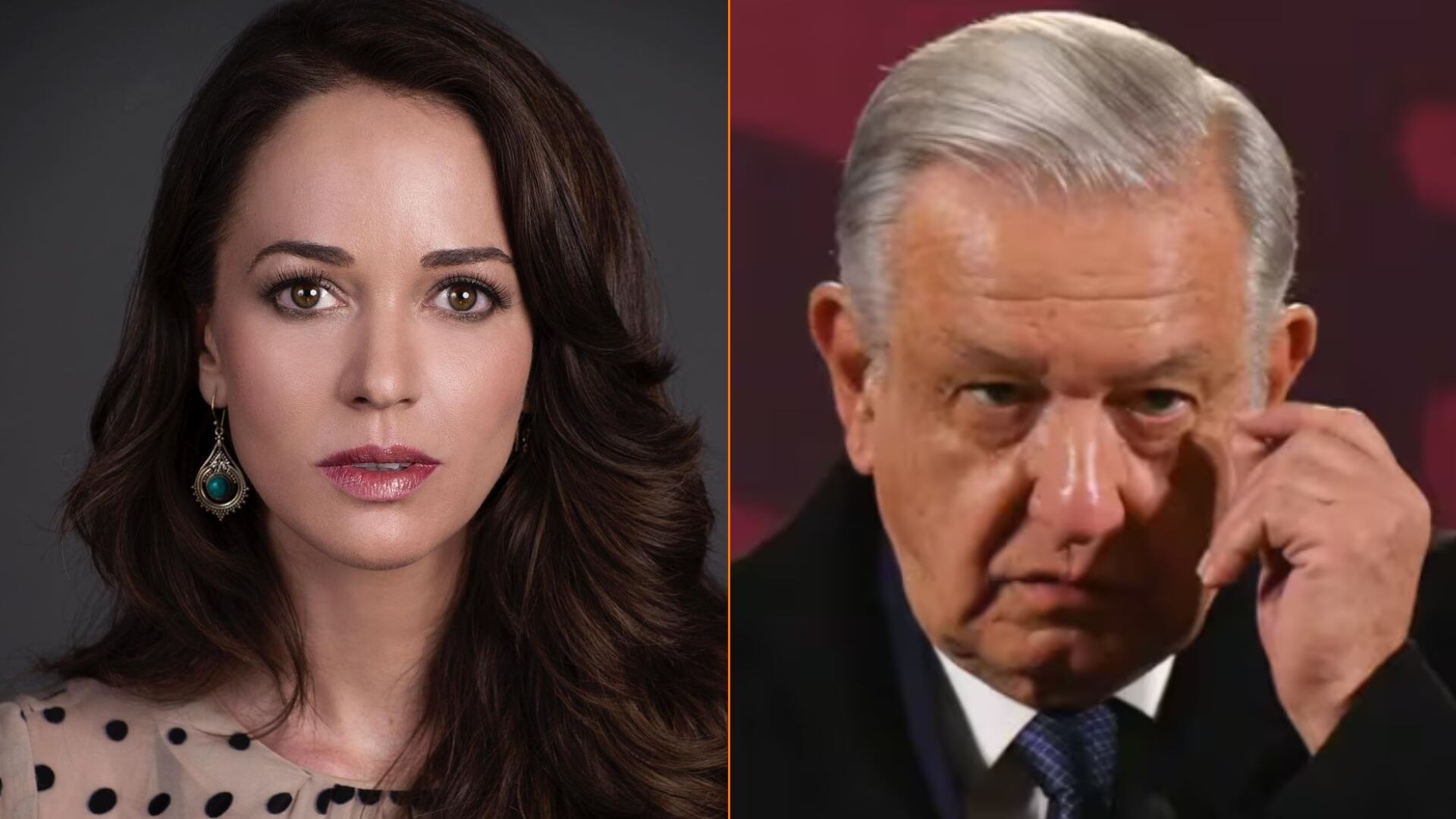 Engañó a millones de mexicanos”; Eugenio Derbez y otros famosos que  terminaron decepcionados de AMLO y su 4T | inoticias.cl