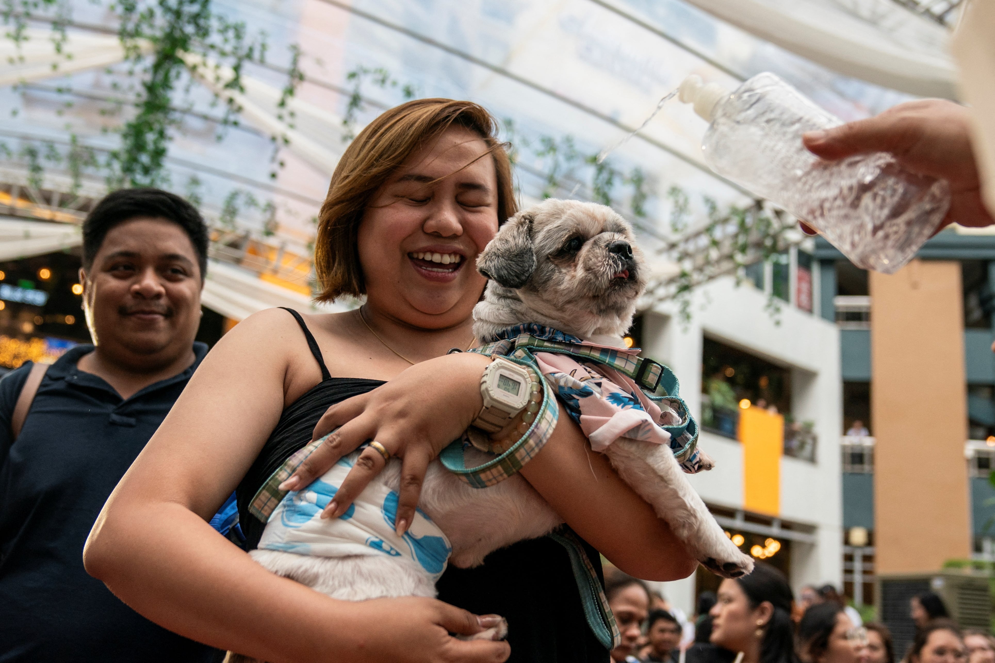 Amor y agua bendita: cientos de mascotas recibieron la bendición en Filipinas durante singular festejo