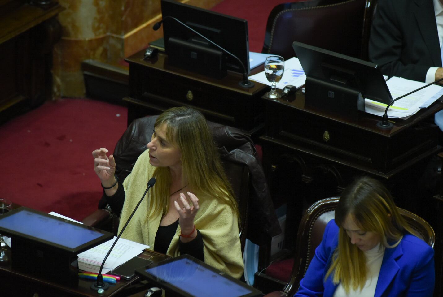 Debate Ley Bases en el Senado - 12.06.2024