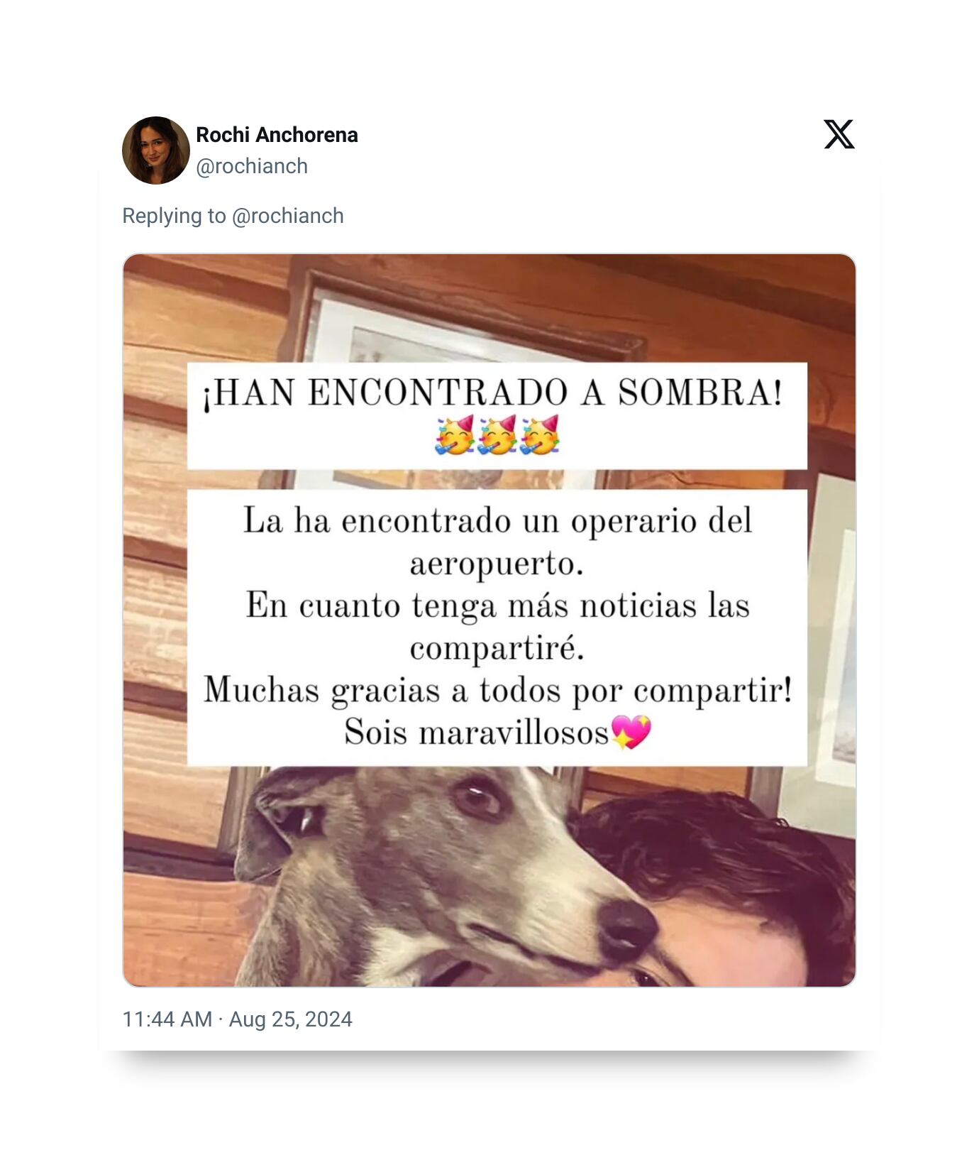 Argentina perdió un perro en el aeropuerto de Francia