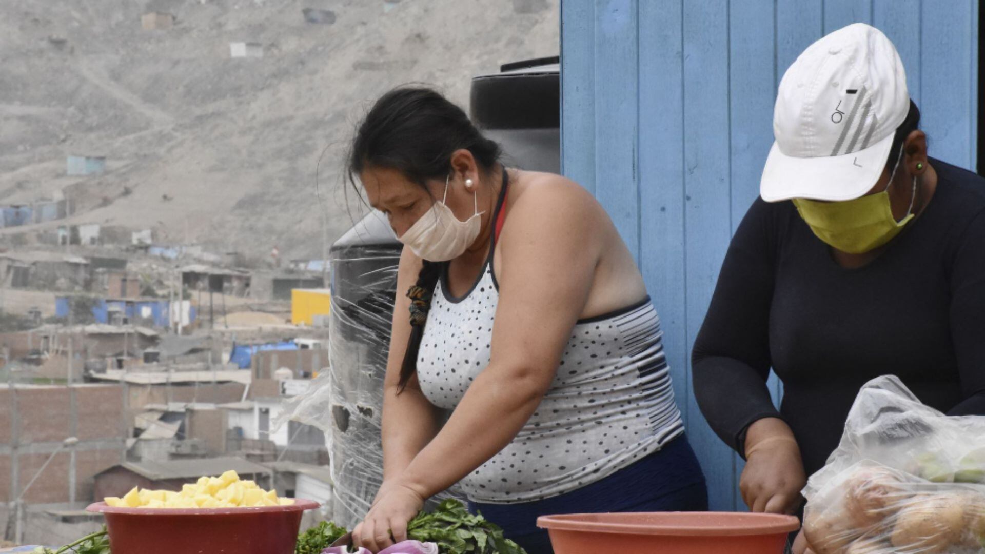 seguridad alimentaria