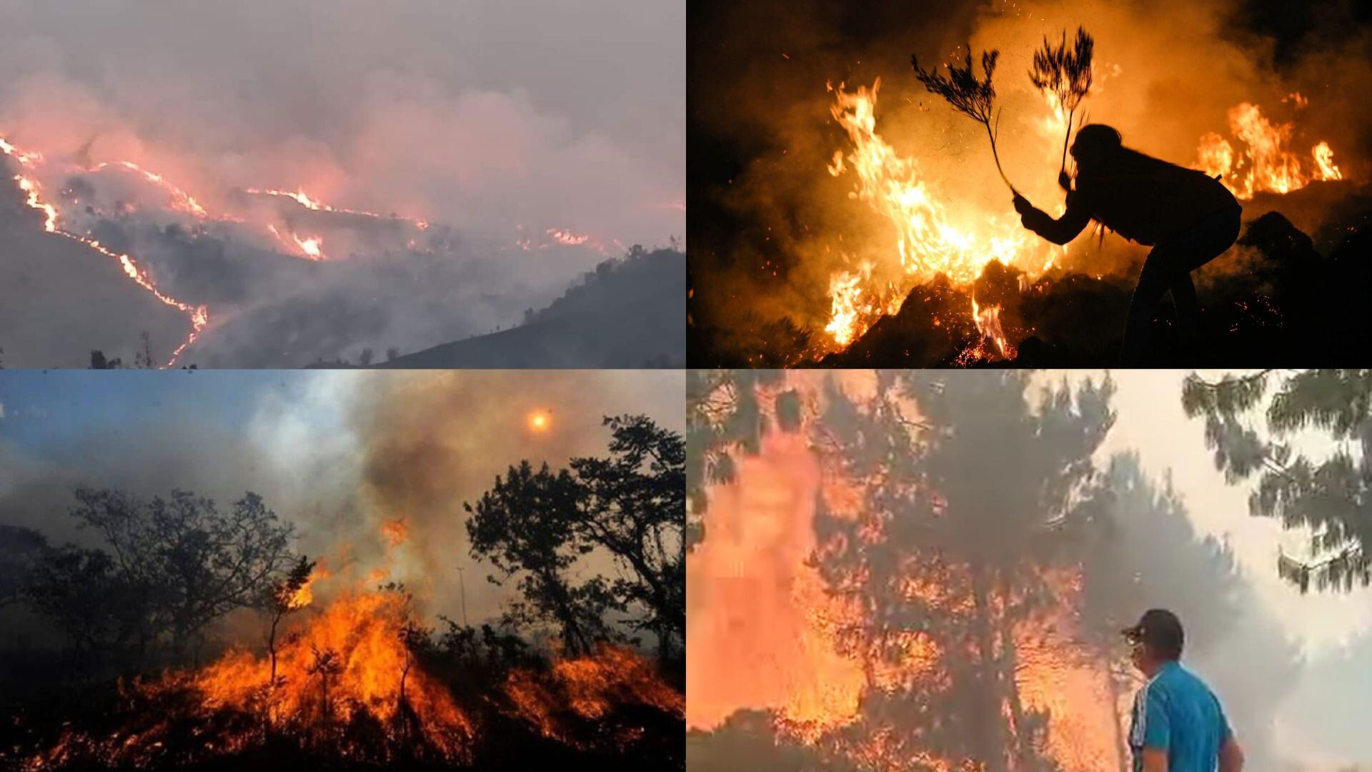 Incendios forestales en Amazonas y Áncash dejan cuatro muertos y gobiernos piden declaratoria de emergencia