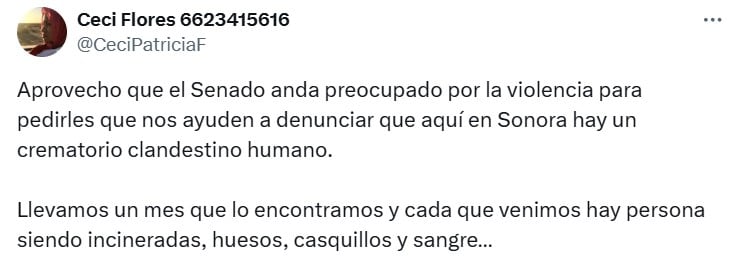 La madre buscadora pidió poner la misma atención a los problemas sociales que a los de los legisladores.