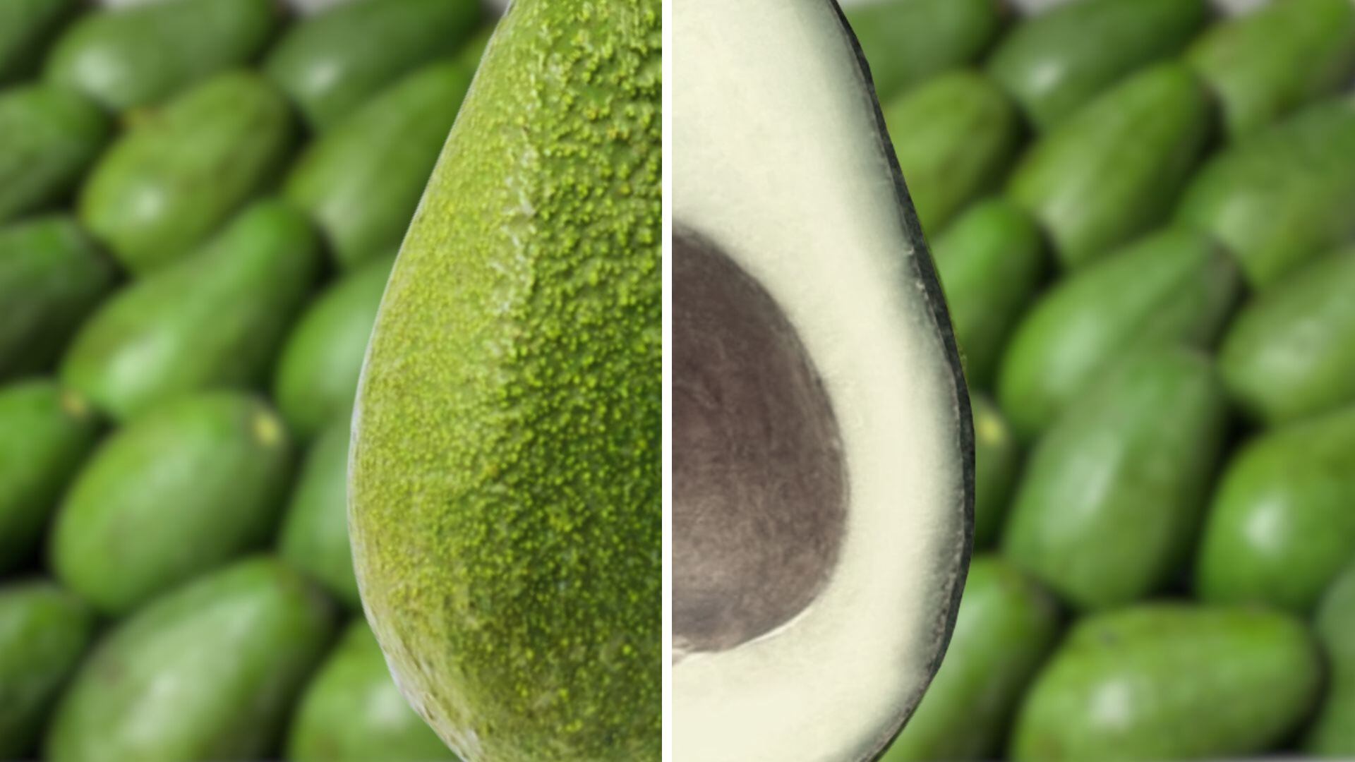 Palta fuerte, partida a la mitad, por afuera y por dentro opaca, en fondo de varias paltas fuertes.