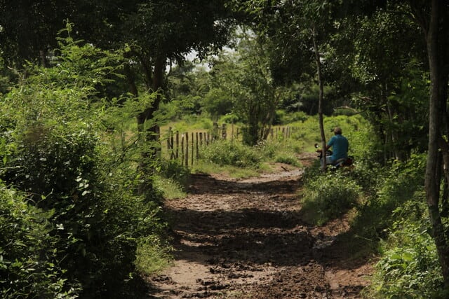 La CCJ indicó que llamar "invasores" a los campesinos de la comunidad Las Franciscas es revictimizante y podría constituir una calumnia - crédito Sofía Toscano/Colprensa