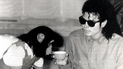 Cómo es la nueva vida de Bubbles, el chimpancé de 41 años que pertenecía a Michael Jackson