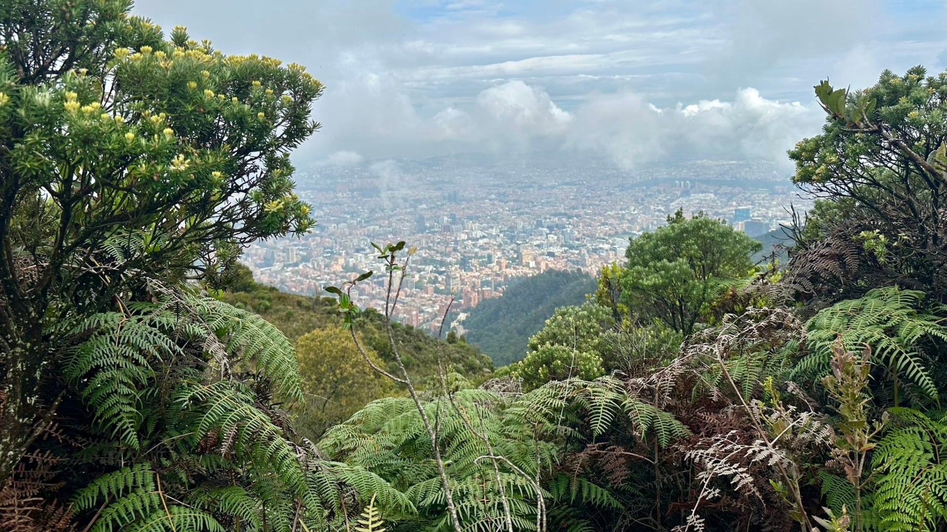 Horarios especiales para caminos turísticos en Usaquén y Chapinero durante festividades - crédito Alcaldía de Bogotá