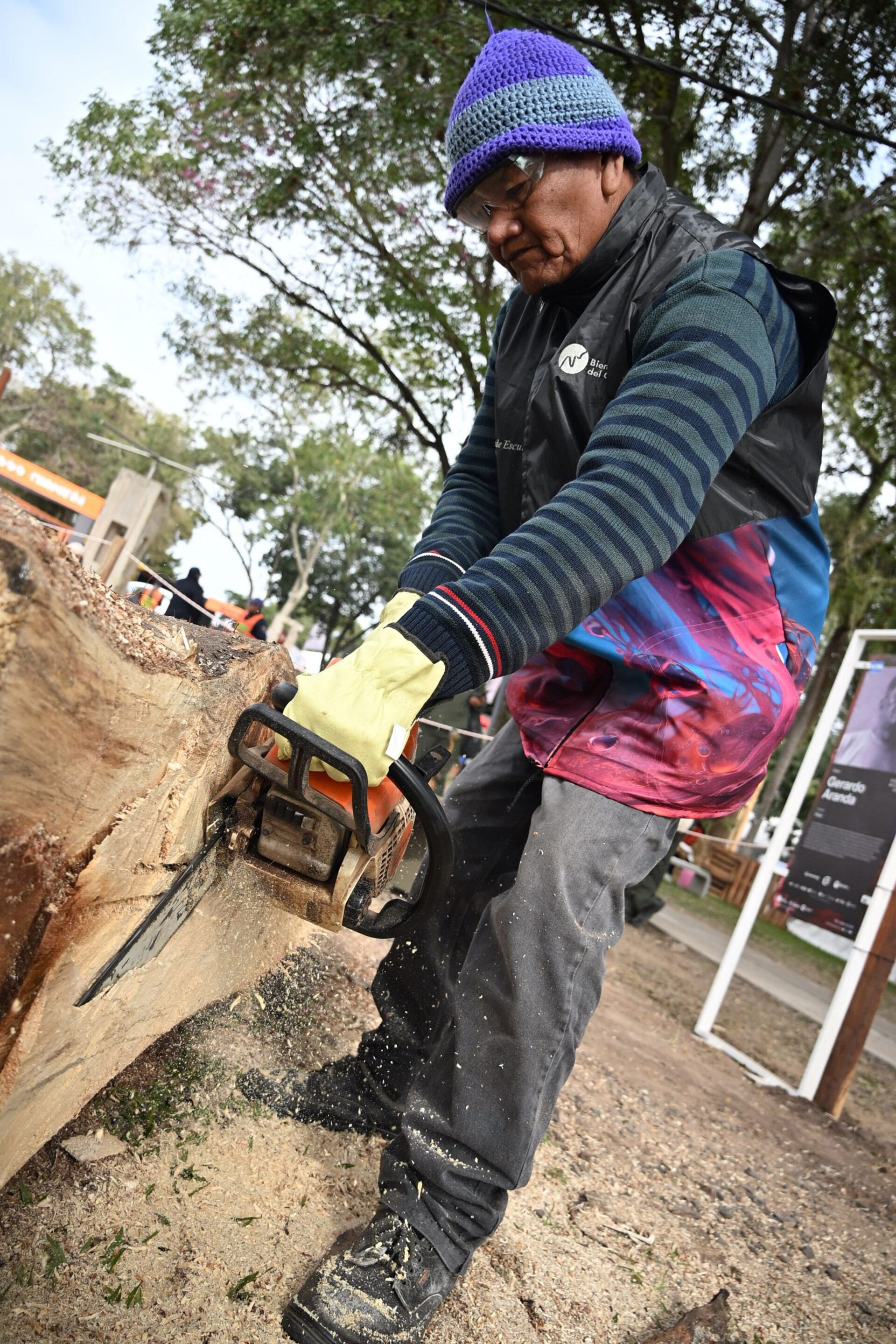 Bienal Chaco