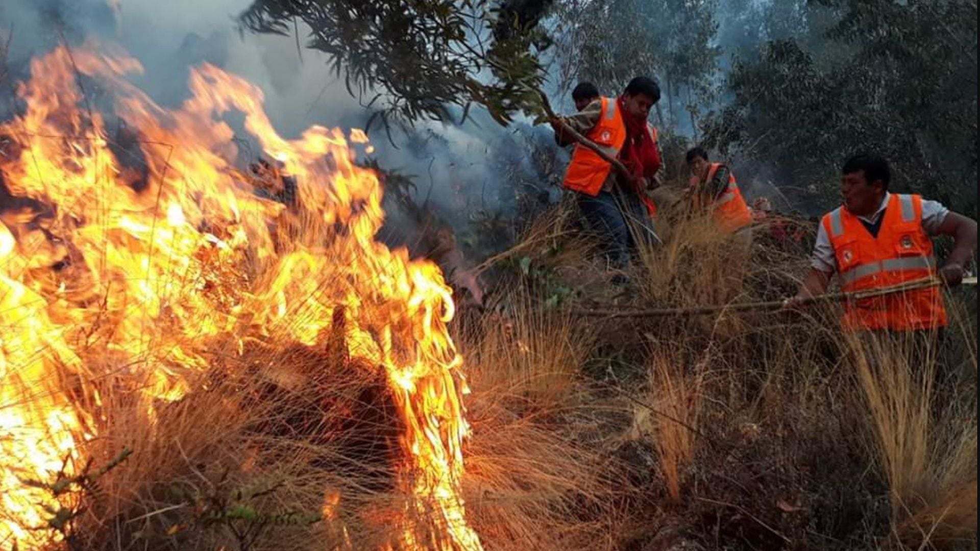 Incendios forestales - causas - Perú - historias - 15 septiembre