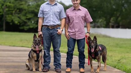 Dos militares adoptaron a sus antiguos perros del Cuerpo de Marines tras años de separación