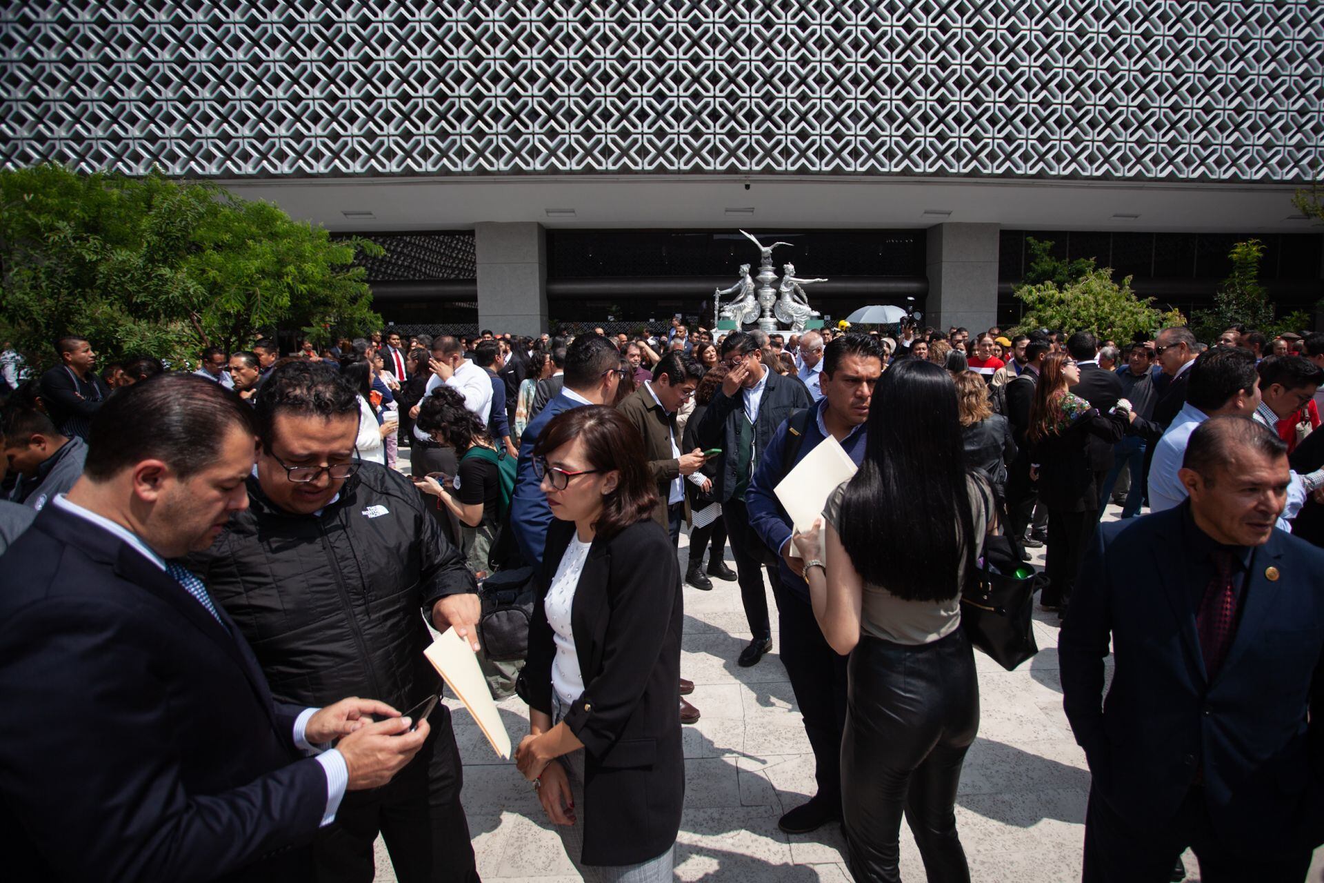 simulacro camara diputados