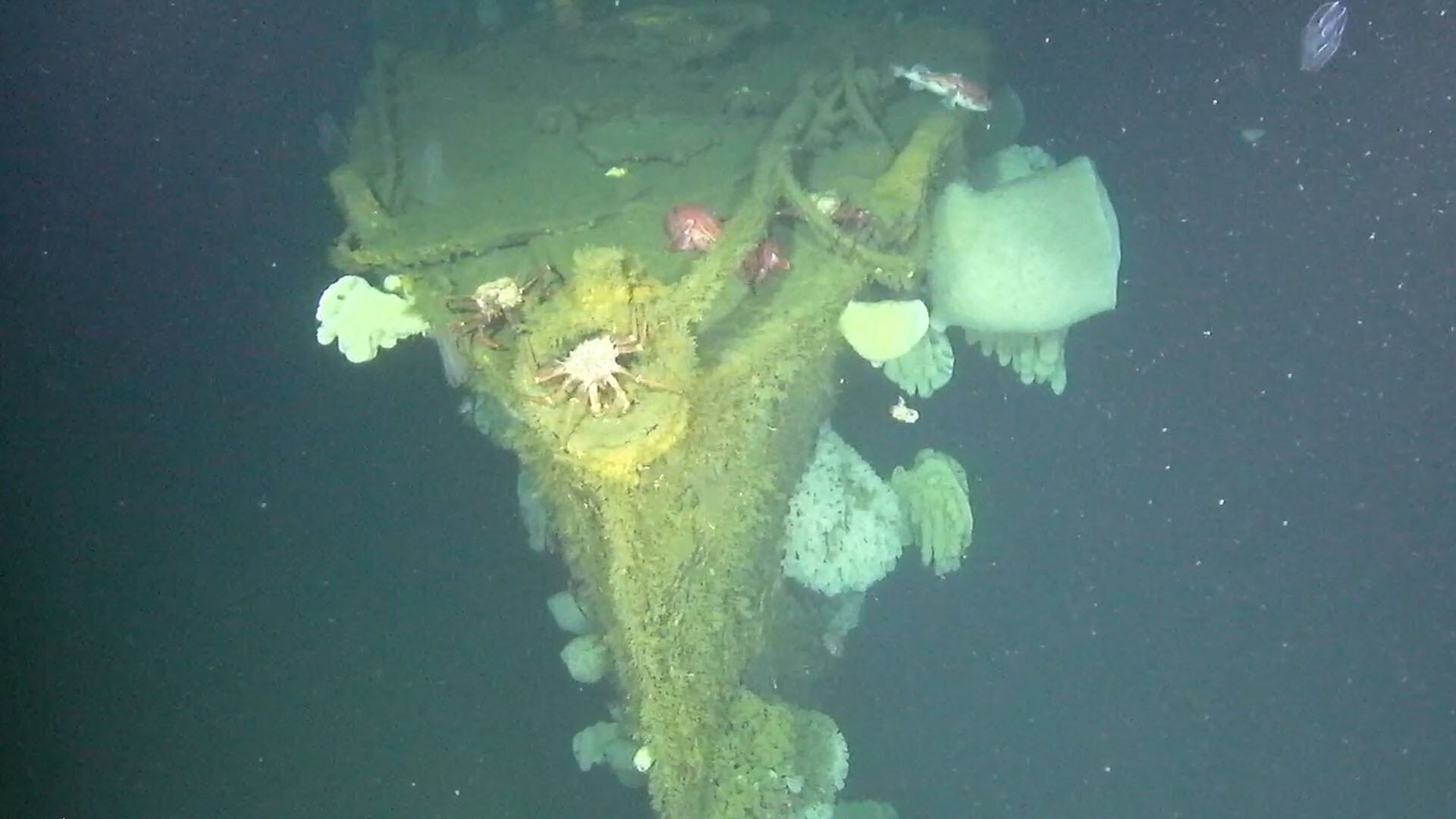 Barco fantasma del Pacífico