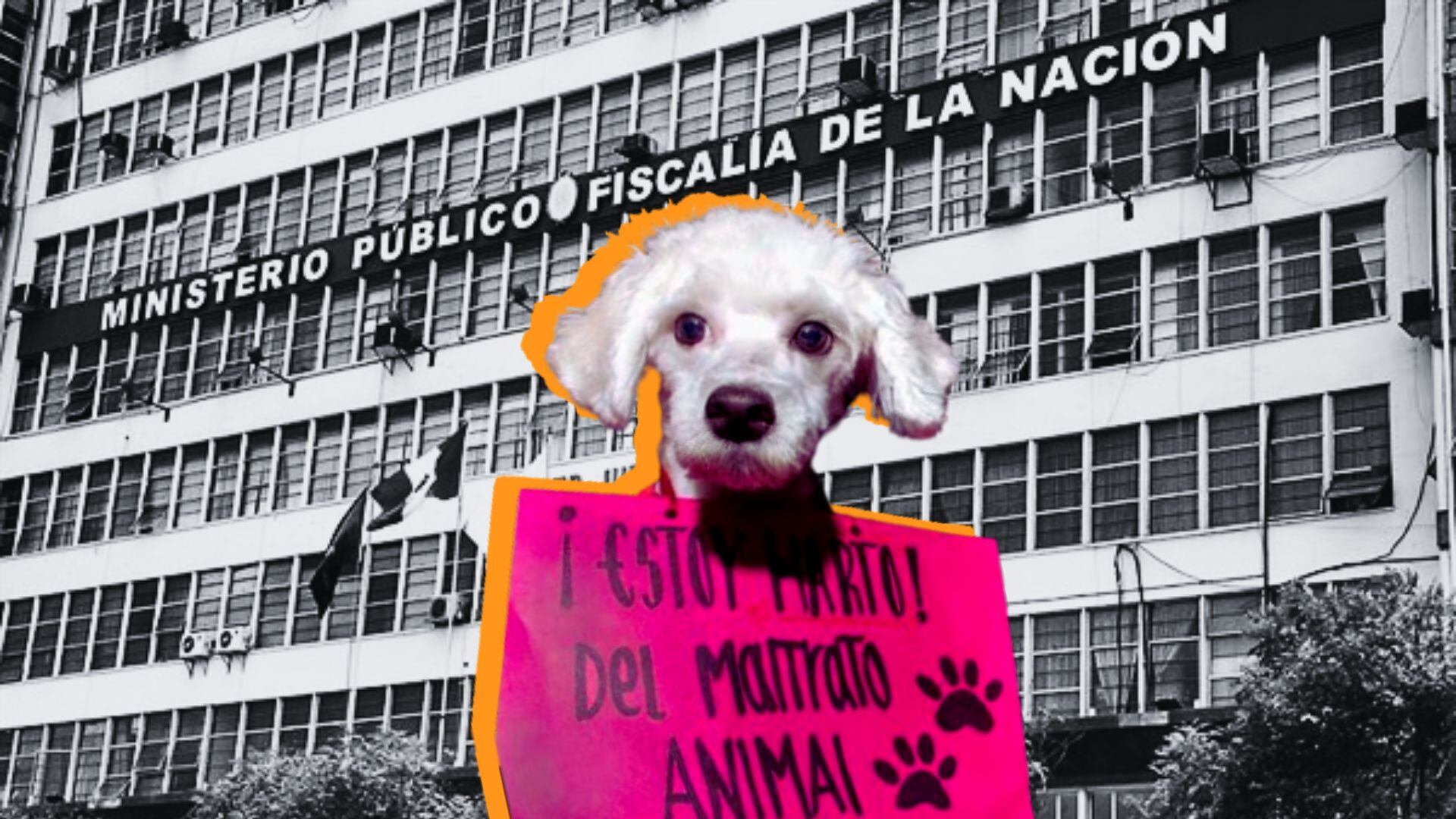 Carteles contra el maltrato animal.