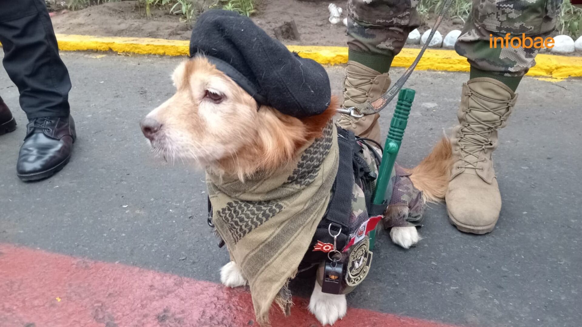 Desfile y Gran Parada Militar en Perú por Fiestas Patrias | Infobae Perú / Ricardo Mc Cubbin