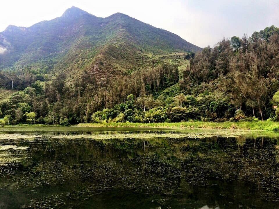 Sumergirse en aguas termales junto a su pareja es una manera ideal de terminar el día después de explorar la zona - crédito TripAdvisor