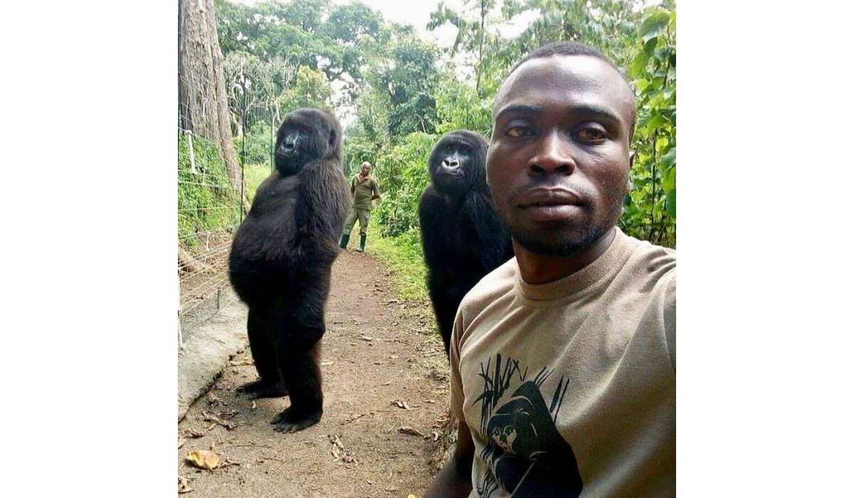 (Instagram: Virunga National Park)