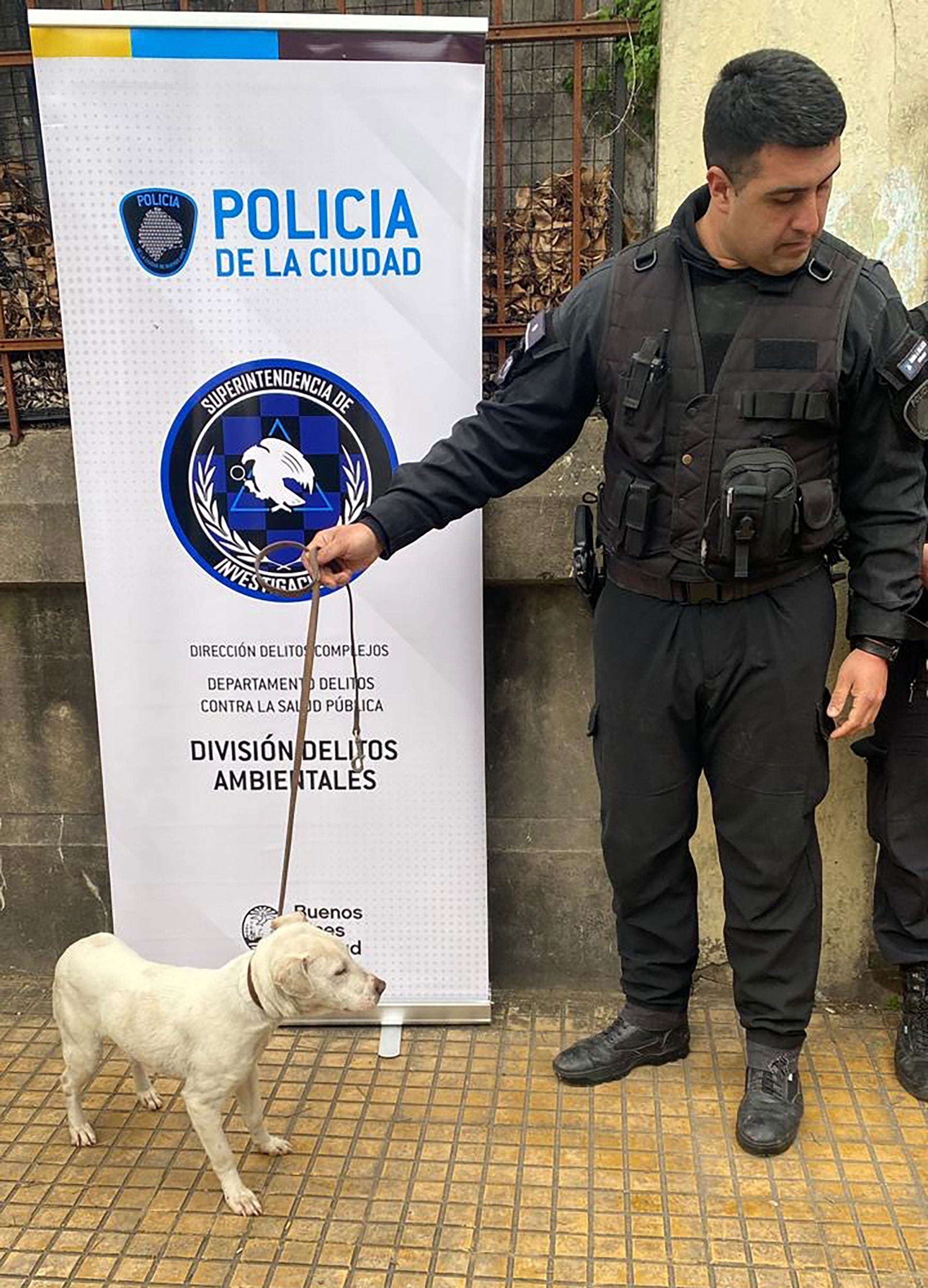 Rescate de perros en Pompeya