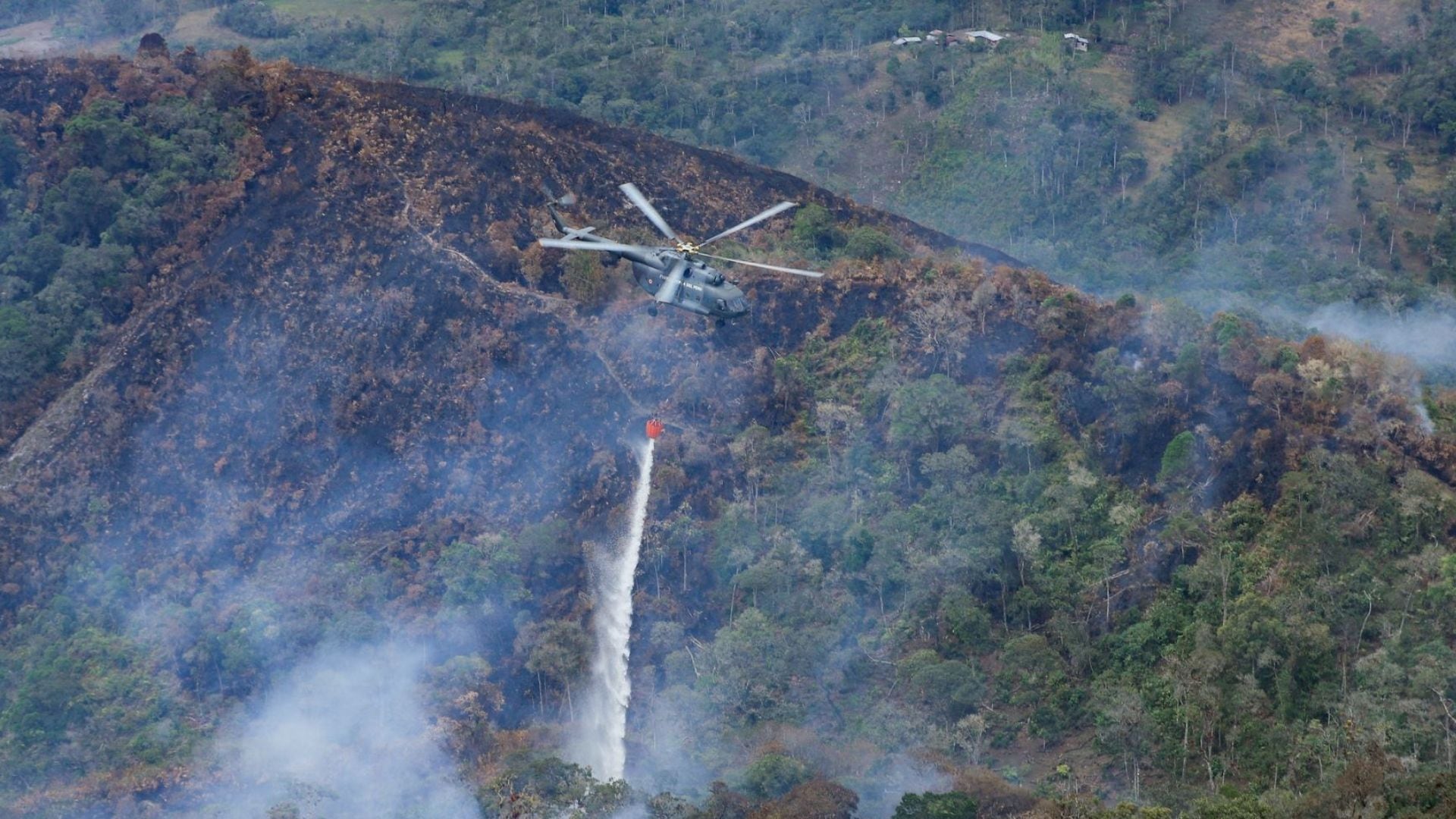 incendios forestales