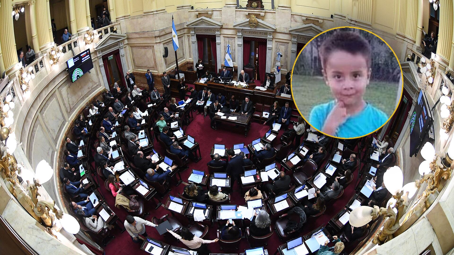 loan senado