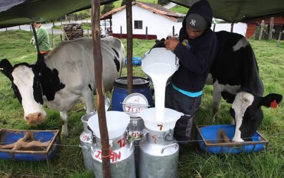 Leche Colombia