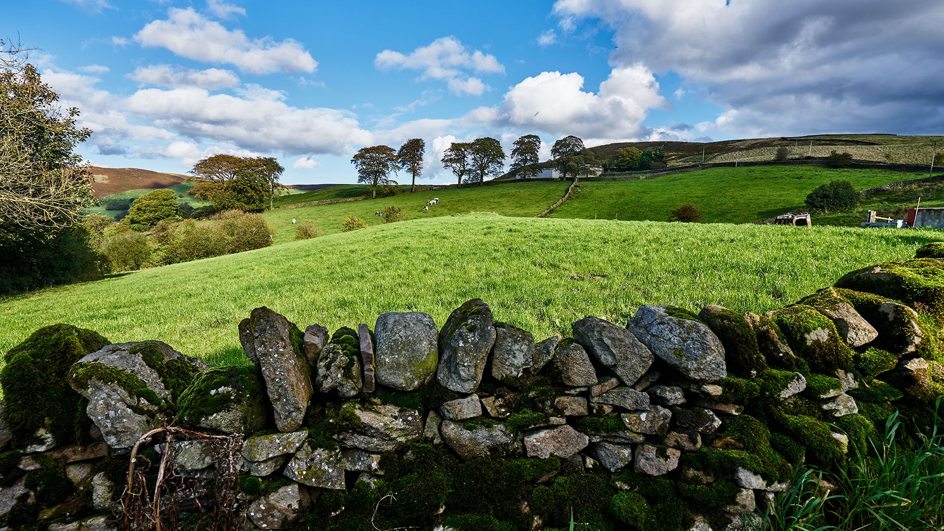 Kilmartin Glen